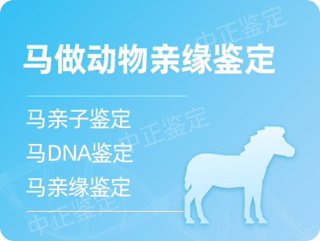 江阴马做动物亲缘鉴定