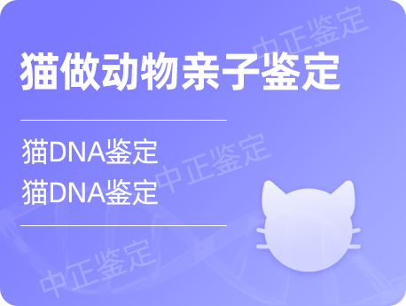 江阴猫做动物亲子鉴定