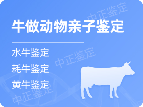 江阴牛做动物亲子鉴定